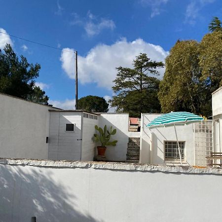 Affittacamere Casa GianRè Monopoli Esterno foto