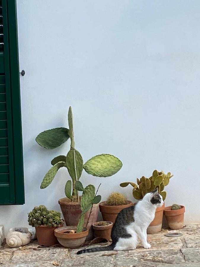Affittacamere Casa GianRè Monopoli Esterno foto