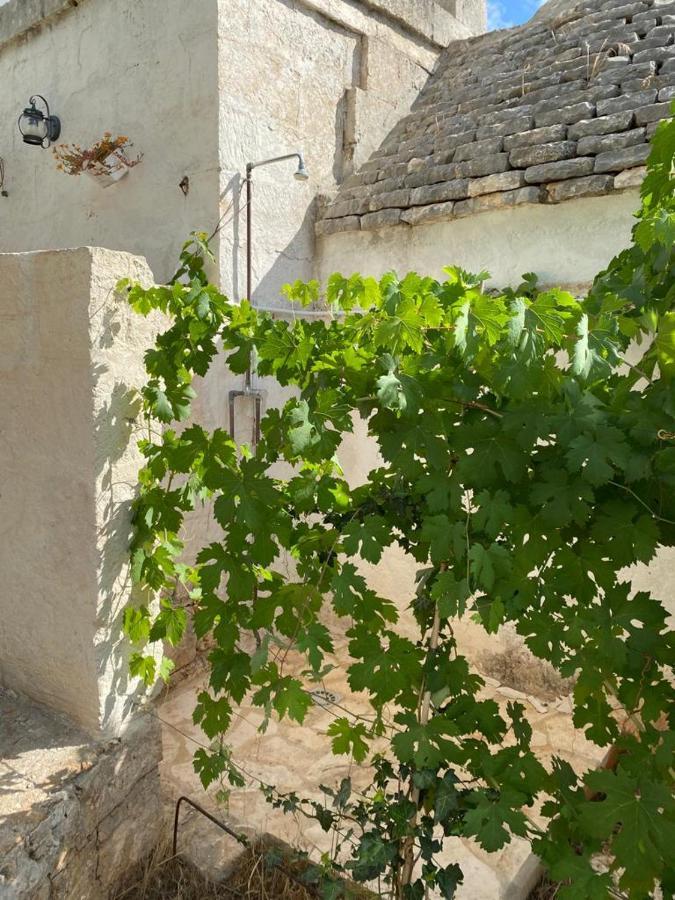 Affittacamere Casa GianRè Monopoli Esterno foto