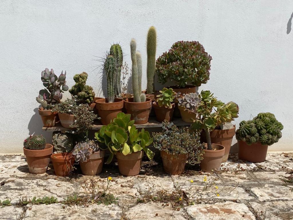 Affittacamere Casa GianRè Monopoli Esterno foto