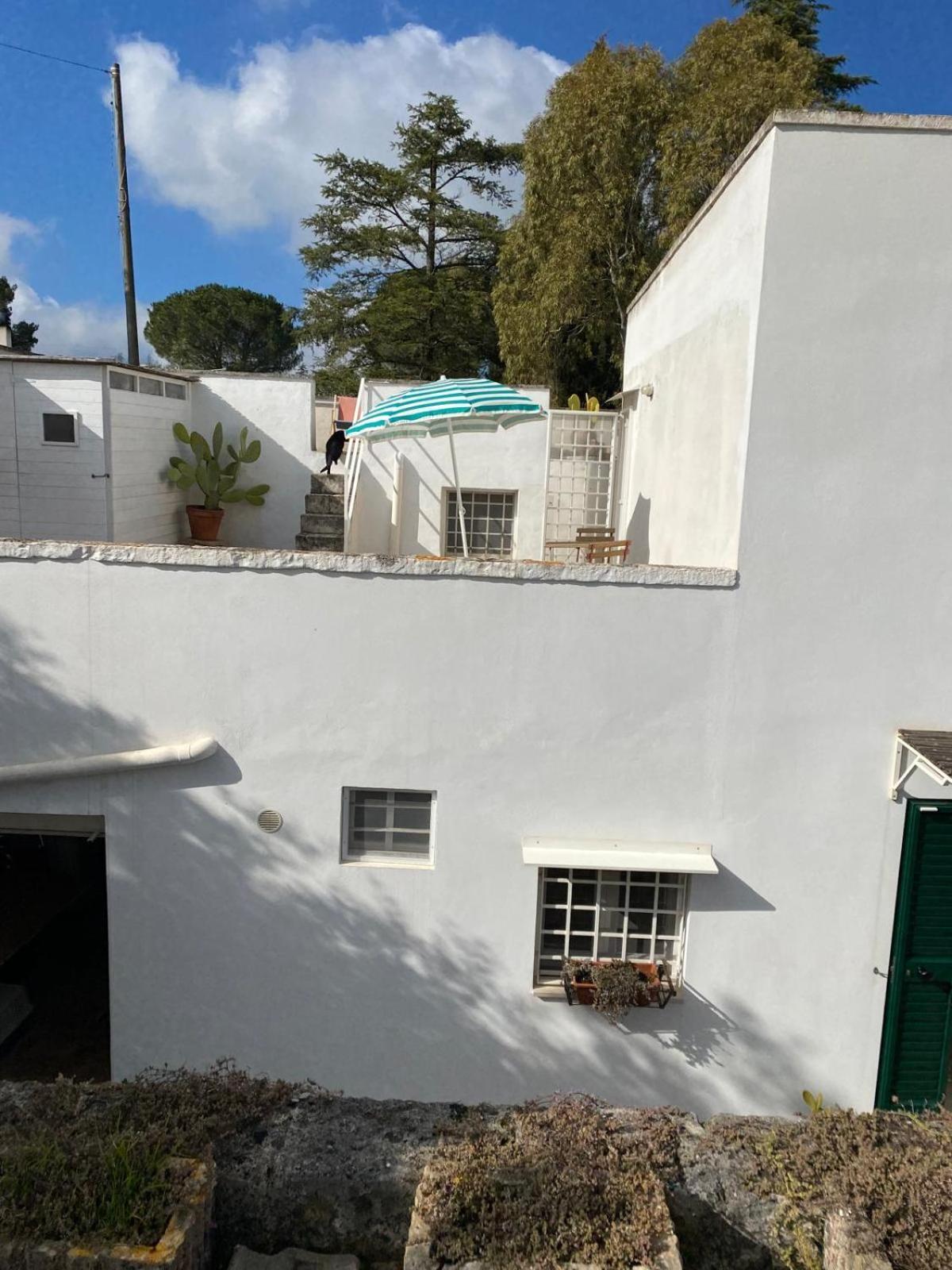 Affittacamere Casa GianRè Monopoli Esterno foto